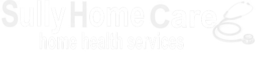 A green banner with white letters that say " home of health services ".